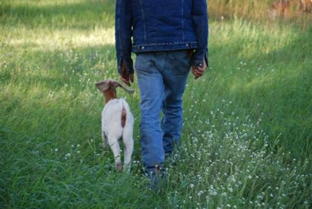 Take a Walk at Russ-Stick Acres Image
